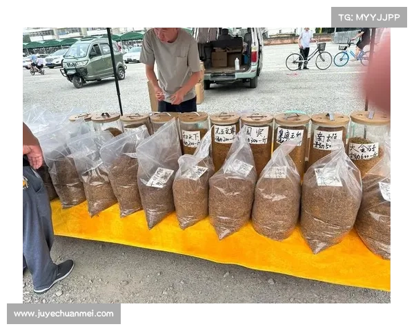 DK宏技术应用研究中的主要挑战与应对策略分析