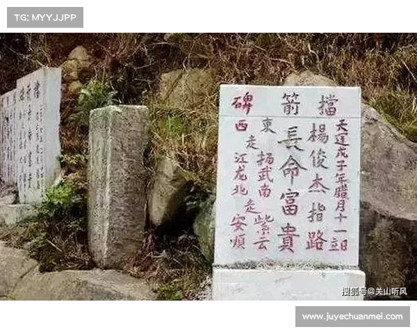 奥运会弓箭比赛的起源与发展规则演变及精彩历史背后的故事